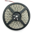 Banda LED 12V 12W 6400K SMD2835  IP65_8603