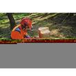 Fierastrau cu lant fara cablu, Einhell GP-LC 36/35, Li 2x18 V, fara acumulatori si incarcator