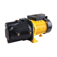 Pompa de suprafata autoamorsanta fonta lunga, FF Group JET1000L, 1000W, 3.300 litrih, H 7.5m, 42926