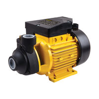 Pompa de suprafata, FF Group VWP100, 750W, 2.700 litrih, 42921