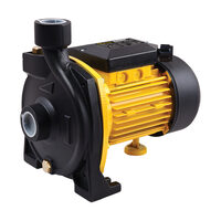 Pompa de irigatii, FF Group CWP1000, 750W,  6.000 litrih, H 17m, 42923
