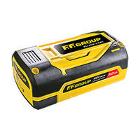 Acumulator pentru fierastrau cu lant Bli, FF Group, 40V/5.0 Ah