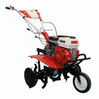 Motocultor, Belt 7 CP, Bisonte, BTA-750