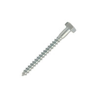 SURUB PT LEMN CAP HEXAGONAL  6,0x100mm