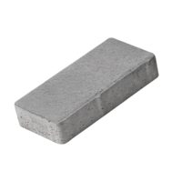 Pavaj Petra Holland gri 20x10x4 cm cu cant