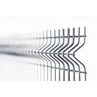Panou gard bordurat plastifiat, 4.2mm, 1230 x 2510mm, gri, RAL 7016