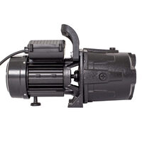 Pompa autoamorsanta, corp fonta, 950w, aspiratie Max 9m, HMax=46m, QMax=74l/min